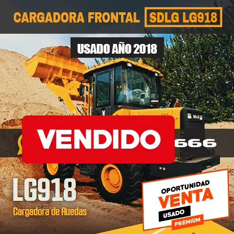 Cargadora Frontal PHN LG918